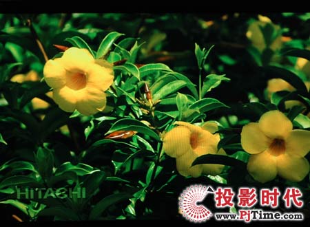 cŴSҺҕ42L02RFXЧ
