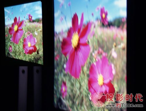 視佳背投影幕評測
