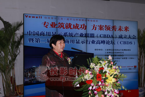 視像協會副會長白為民在第二屆中國商用顯示行業高峰論壇致辭