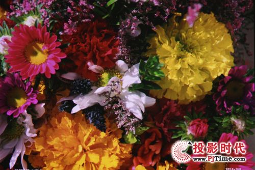 鮮花