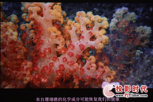 高清視頻