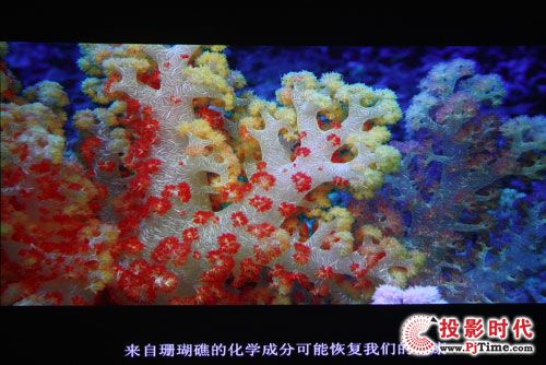 專業(yè)高清視頻