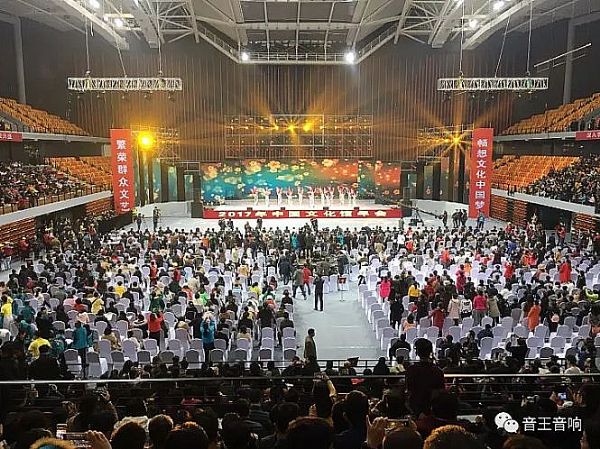 音王唱響2017年中國文化館年會