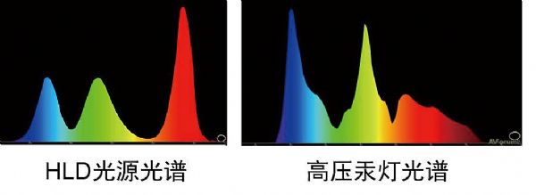 領跑教育投影市場，BOXLIGHT HLD投影機落戶威海三中