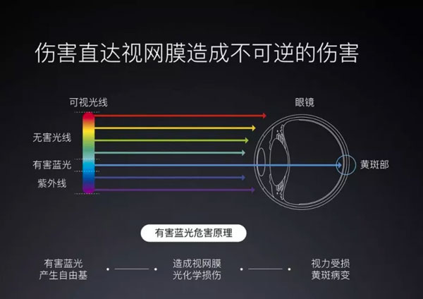 在線教育已正式開啟 如何健康護眼