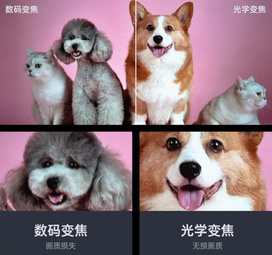 家用投影真4K體驗：除了分辨率，你還應該關注這些