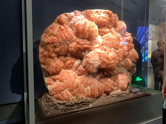 為了讓大家都看懂，博物館它真的很努力