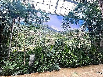 水族館的<a  border=1>LED背景墻，仿佛置身真實(shí)熱帶雨林,多媒體信息發(fā)布系統(tǒng),數(shù)字標(biāo)牌,數(shù)字告示，digital signage