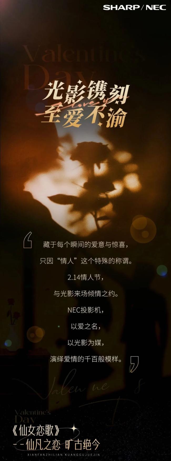 NEC丨光影鐫刻 至愛(ài)不渝