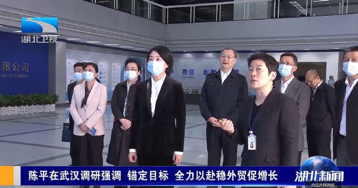 湖北省副省長陳平調研長飛公司