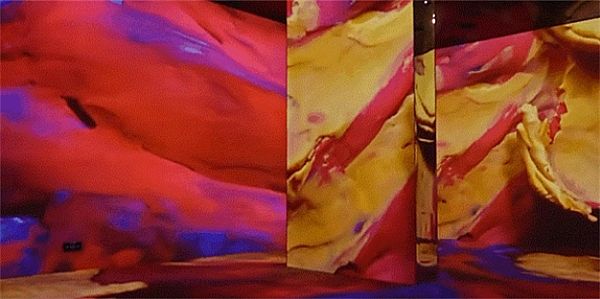 盛夏好去處，來光廷光影藝術展暢游夢境