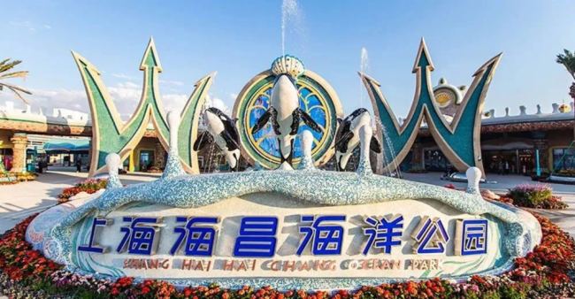 主題樂園案例｜成豐主流線為主題樂園提供一站式AV連接解決方案，多維度帶來新變革